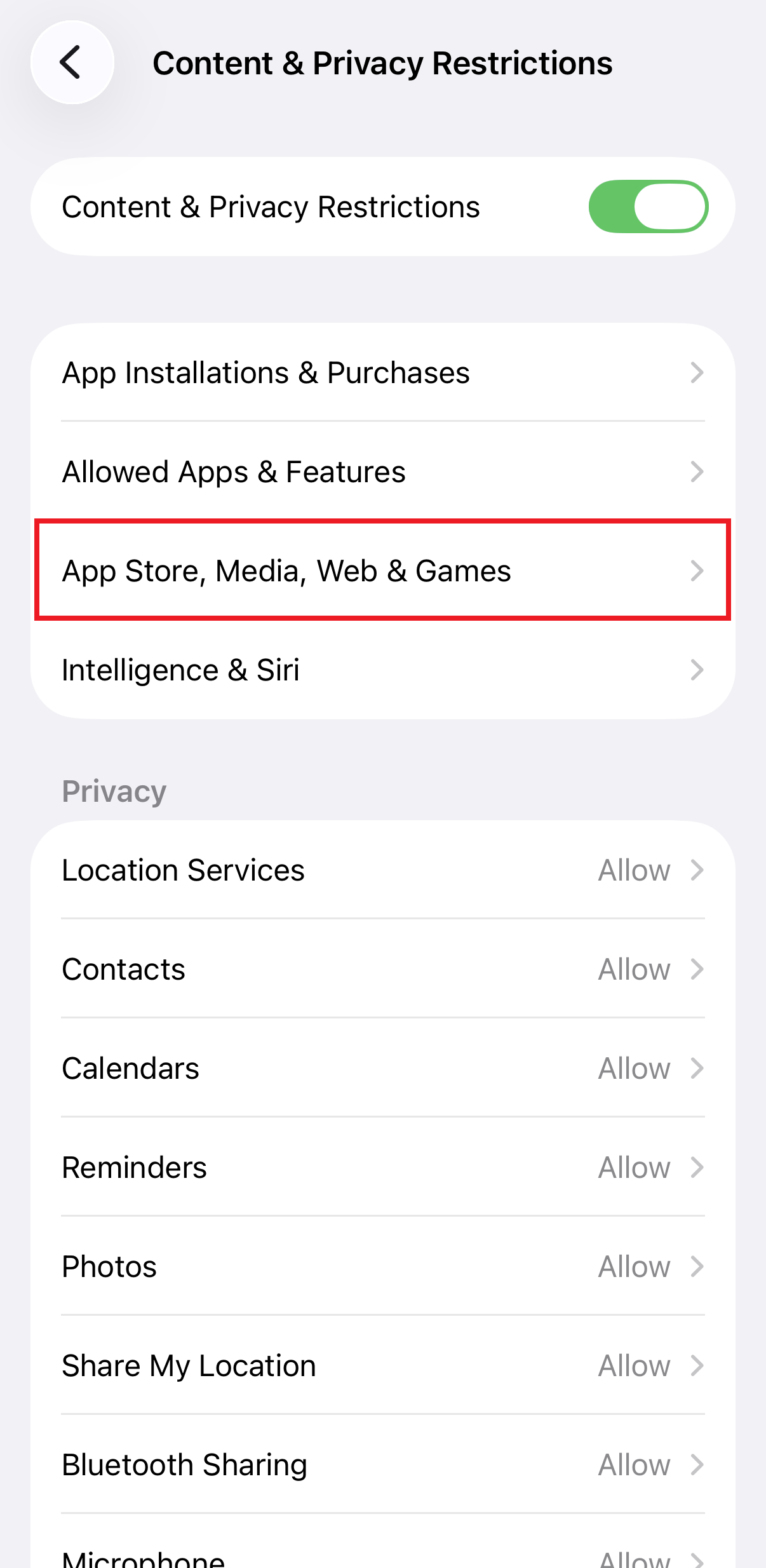 How to block websites on iPad